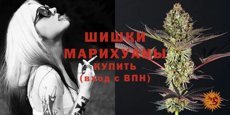 где купить наркотик  Осташков  Шишки марихуана OG Kush 